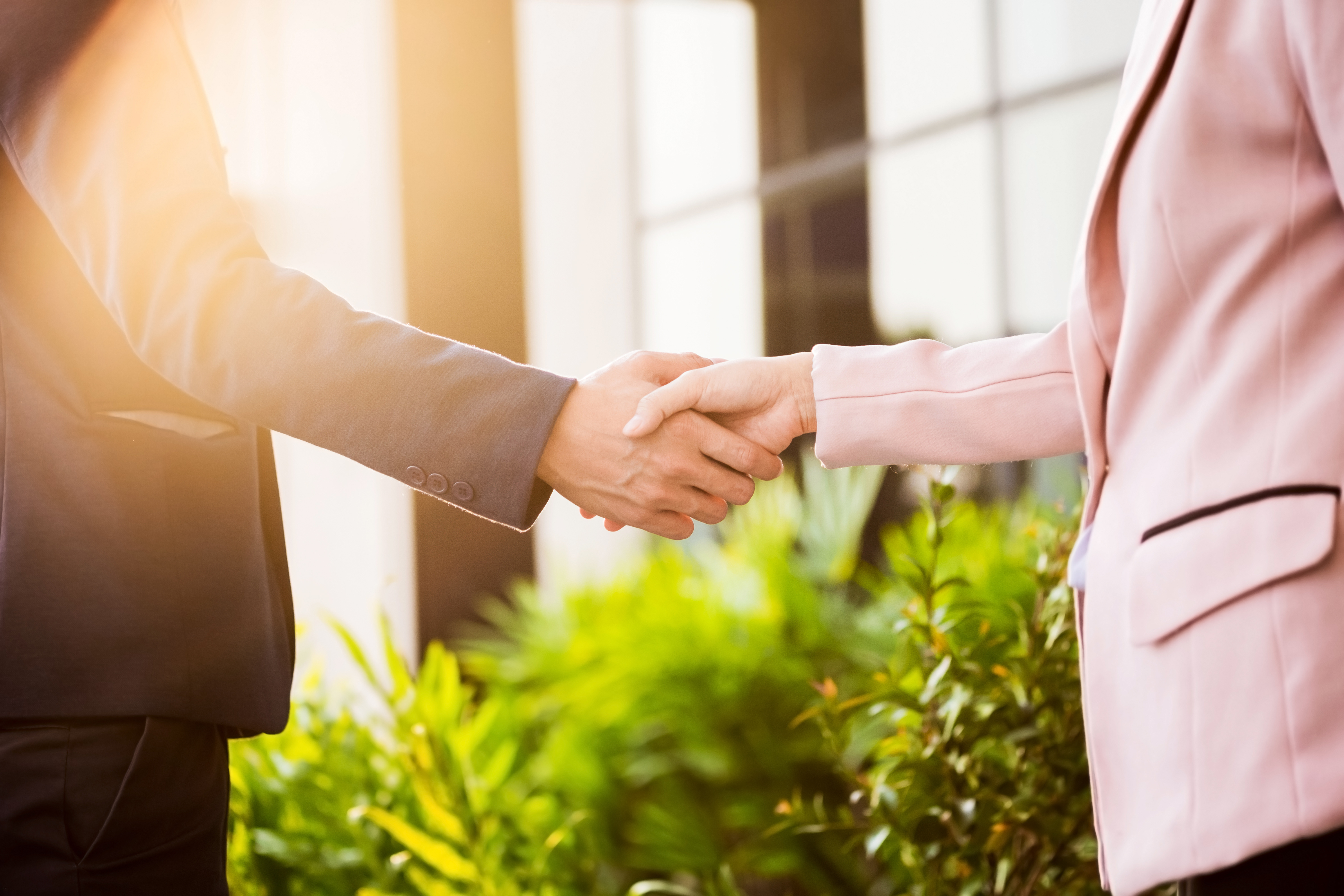 closeup-friendly-meeting-handshake-business-woman-businessman-with-sunlight